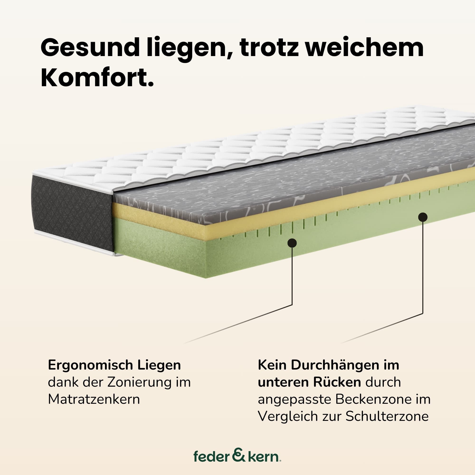 Feder & Kern Viscomatratze Querschnitt mit Zonenaufbau und ergonomischem Matratzenkern